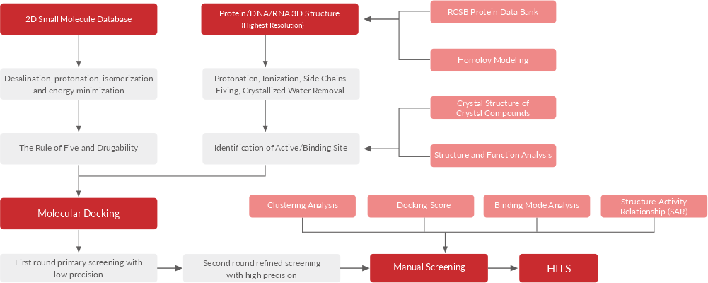 Molecular docking-based virtual screening