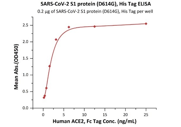 SARS-CoV-2スパイクS1タンパク質とACE2タンパク質の結合グラフ