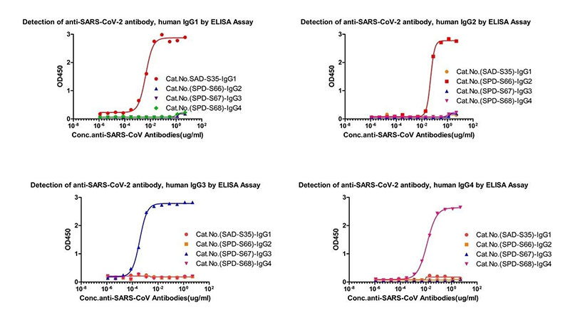 RAS-T014/RAS-T015/RAS-T016/RAS-T017による抗体サブタイプ検出の交差検証データ