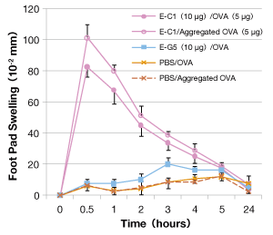 E-G5とL71によって誘導されるフットパットのアレルギー反応（Balb/c マウス）