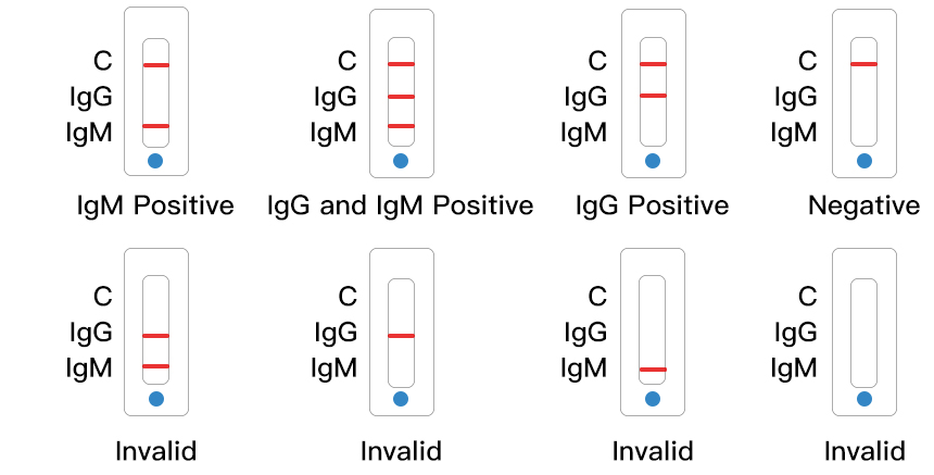COVID-19 IgG IgM 迅速試験（UNCOV-40）結果判定