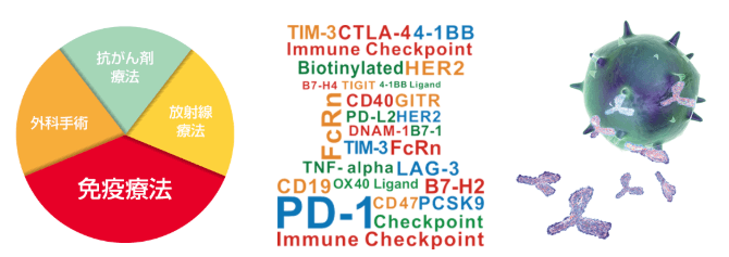 がん免疫チェックポイント分子