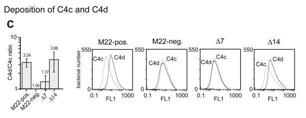 非免疫ヒト血清中の細菌培養後のフローサイトメトリーによるS.pyogenes表面上のC4c, C4d沈着分析結果