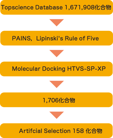 Topscience Database 1,671,908化合物
PAINS，Lipinski's Rule of Five
Molecular Docking HTVS-SP-XP
1,706化合物
Artifcial Selection 158 化合物